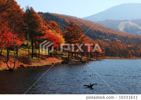 秋天的湖的秋天 10331631
