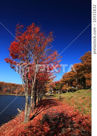 秋天的湖的秋天 秋天的湖的秋天 10331632