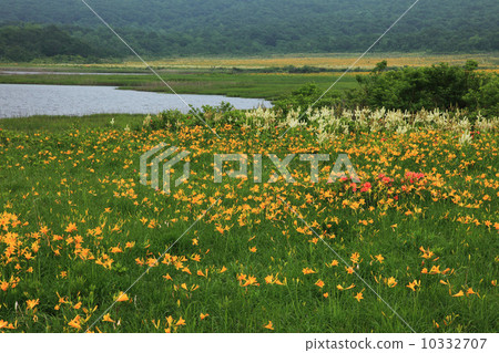 夏天的Ogunuma 10332707