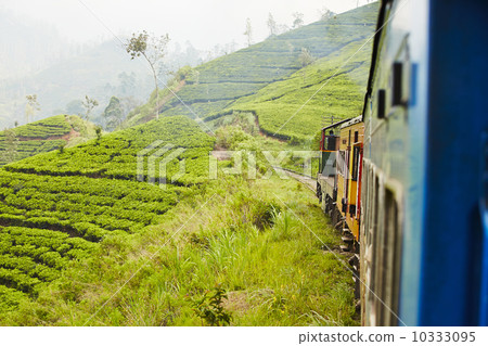 Train in Sri Lanka Train in Sri Lanka 10333095