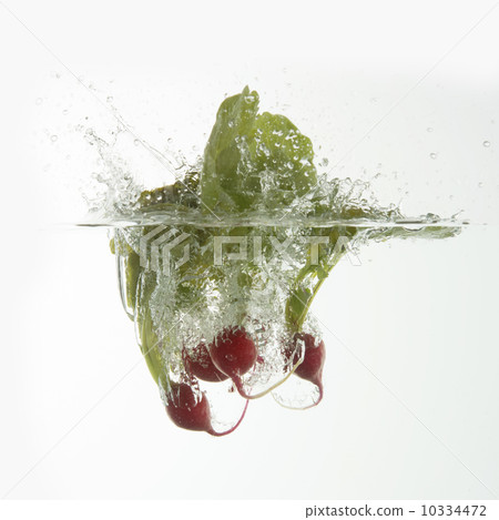 Radish dropped in water 10334472