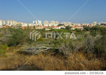The city of Ashkelon in Israel The city of Ashkelon in Israel 10336216