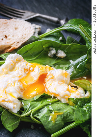 Poached egg on spinach 10336395