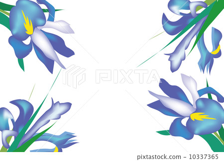 Multipurpose card of iris flowers 10337365
