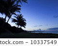 Beach of Waimea on Kauai 10337549