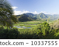 Hanalei Valley Observatory 10337555