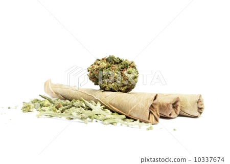 Marijuana 10337674