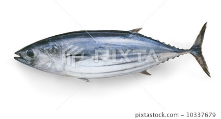 Bonito Bonito 10337679