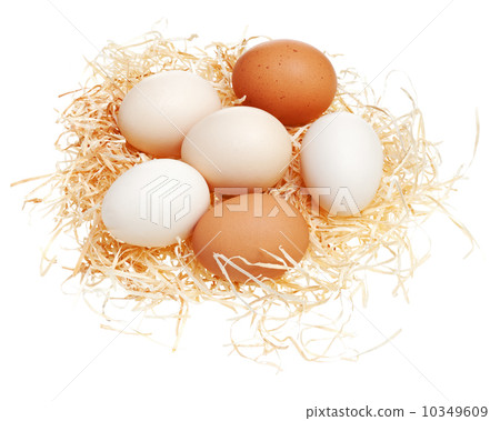 Eggs in straw nest. 10349609