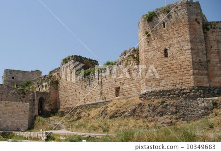 Syria's crack de Chevalier 10349683