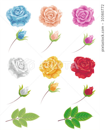 玫瑰零件 玫瑰零件 10360772