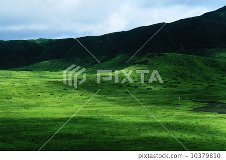 Aso Grass Sengahamahama Aso Grass Sengahamahama 10379810