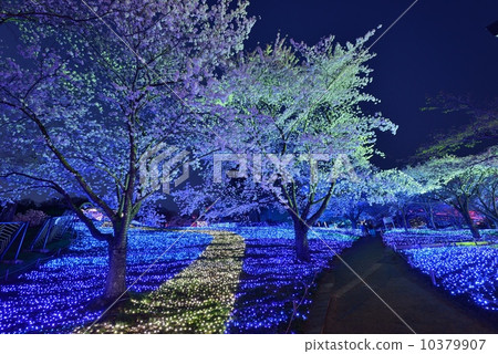 At night cherry illumination 10379907