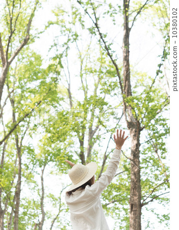 Forest bathing 10380102