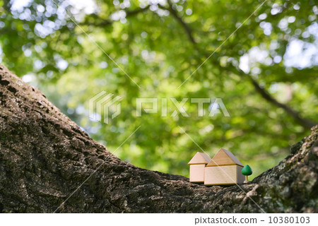 wood house  10380103