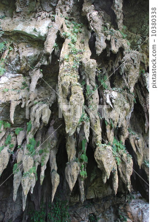 克利爾沃特洞穴（Gunung Mul國家公園/東馬來西亞/婆羅洲島） 10380338
