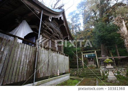 Kasuga Shrine Kasuga Shrine 10381368