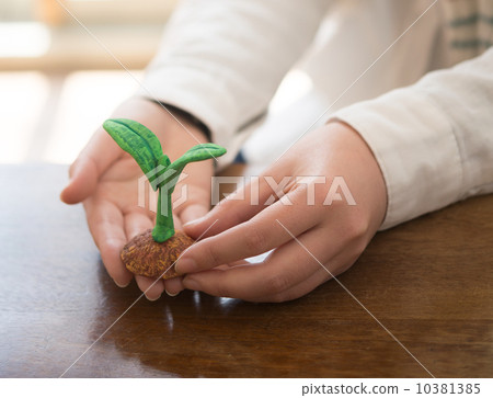 Bud 10381385