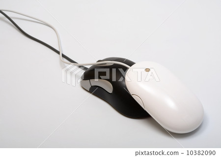 two mouse 10382090