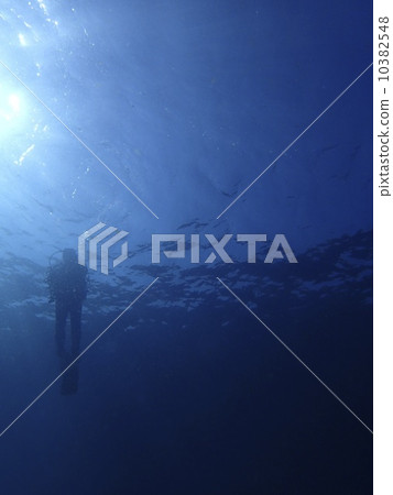 Diver and the sea surface Diver and the sea surface 10382548
