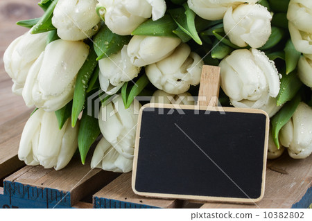 bunch  of white  tulips 10382802