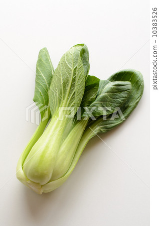 Bok-choy 10383526
