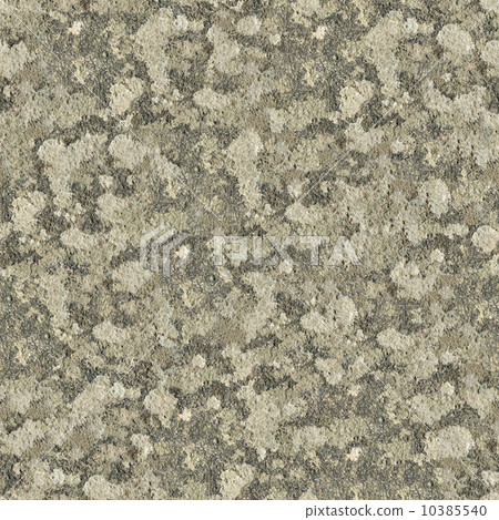 Seamless Texture of Weathered Concrete Surface. 10385540