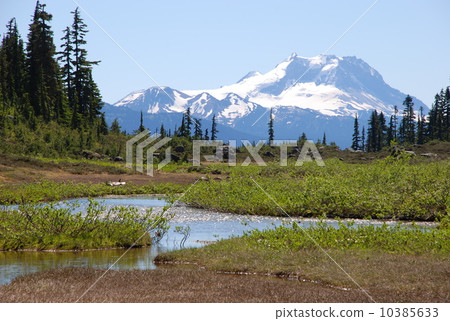 Snow mountain viewed from wetland 10385633
