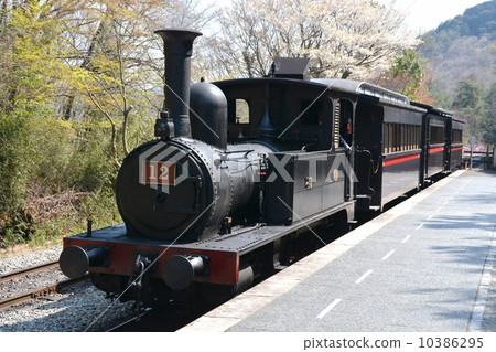 蒸汽機車12號 10386295