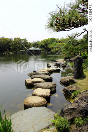 Fresh green of Kiyosumi garden Fresh green of Kiyosumi garden 10386478