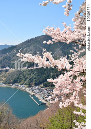 春天Oku Biwa和湖邊定居點 春天Oku Biwa和湖邊定居點 10386754