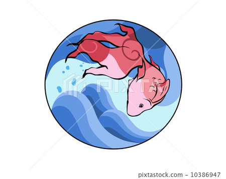金魚 金魚 10386947