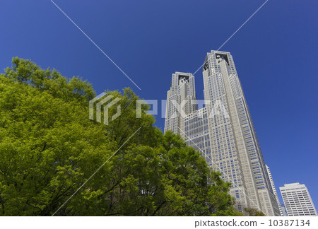 Fresh green green and clear blue sky Tokyo Metropolitan Government Fresh green green and clear blue sky Tokyo Metropolitan Government 10387134
