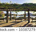 Bench 10387279