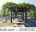 Bench 10387281