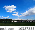 Tama River 10387288