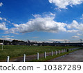 Tama River 10387289