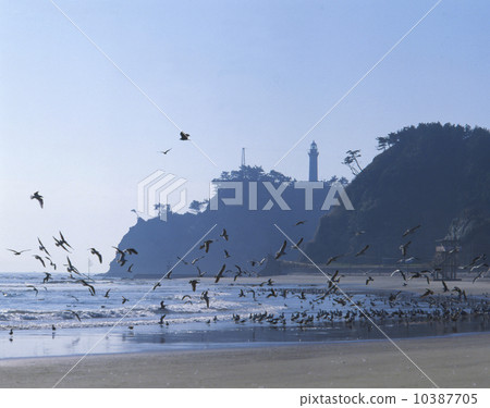 Shioyazaki Lighthouse Iwaki City Shioyazaki Lighthouse Iwaki City 10387705
