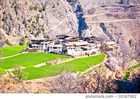 Yunnan scene-Tibetan region scene 10387902