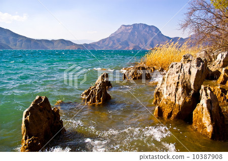 Yunnan scene-Lugu Lake bank 10387908