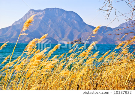 Yunnan scene-Lugu Lake bank 10387922