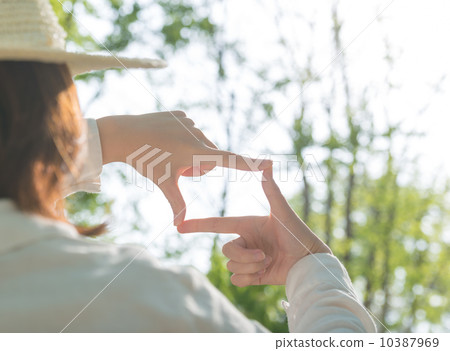 Composition 10387969