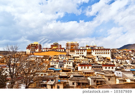 Yunnan scene- Songzanlin Lamasery 10387989