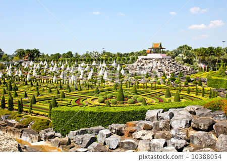 Tropical Garden in pattaya, thailand. 10388054