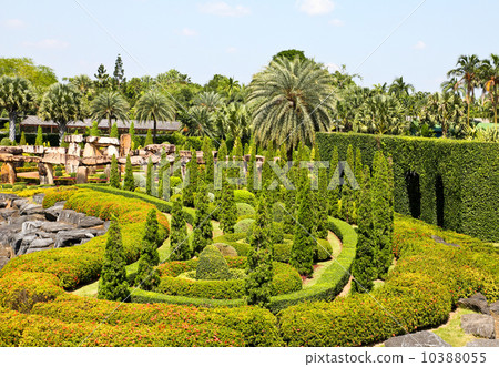 Tropical Garden in pattaya, thailand. Tropical Garden in pattaya, thailand. 10388055