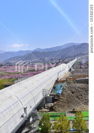 桃園鄉與線性實驗線 桃園鄉與線性實驗線 10388165