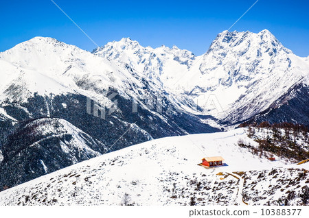 Yunnan scene-Baimang (Baima) Snow Mountain 10388377