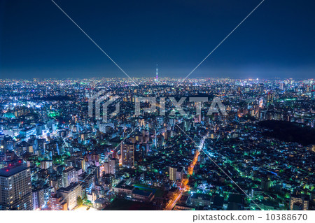 照片素材(圖片): 夜景 東京晴空塔 塔