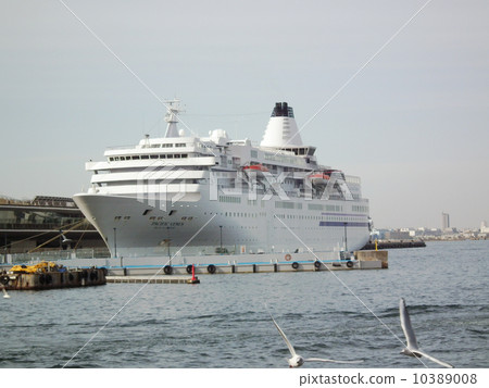 Pacific Venus 10389008