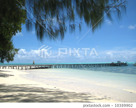 銀河系，帕勞，泥包 10389902